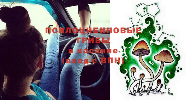 мескалин Елабуга