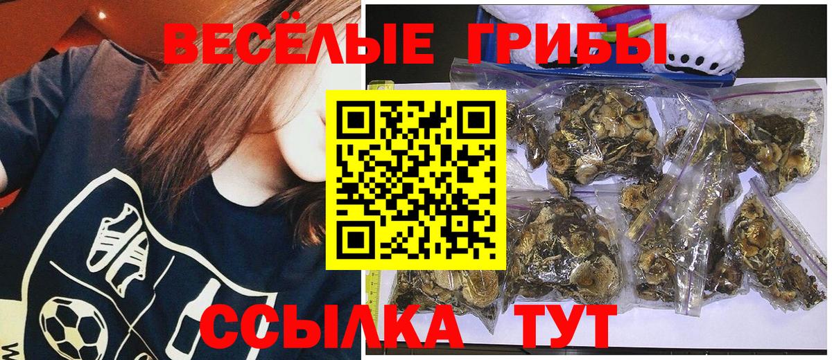 Псилоцибиновые грибы MAGIC MUSHROOMS  Вход с VPN  Канск 