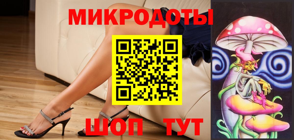 Псилоцибиновые грибы Psilocybine cubensis Канск